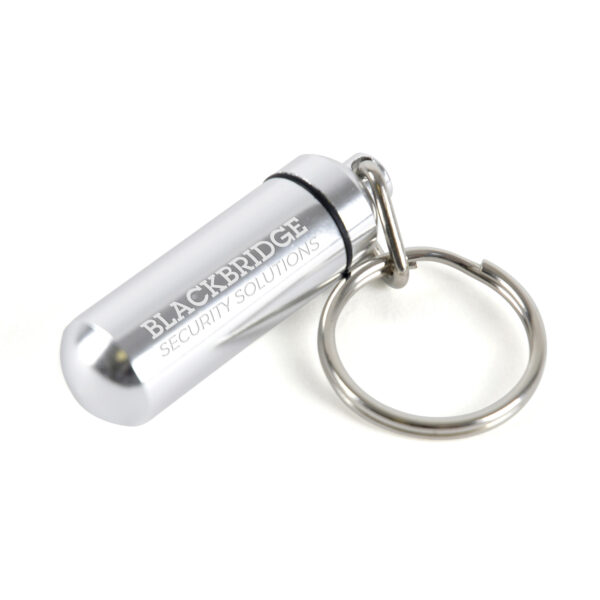 MONEY MINDER KEYRING